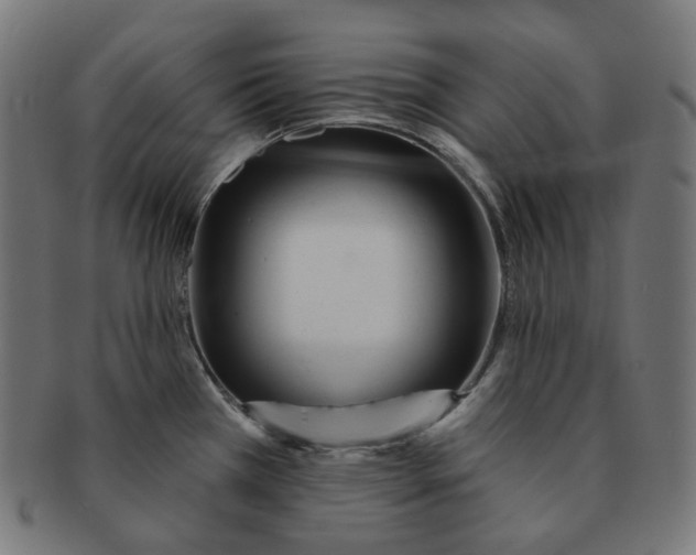 X0000091721385200709210952