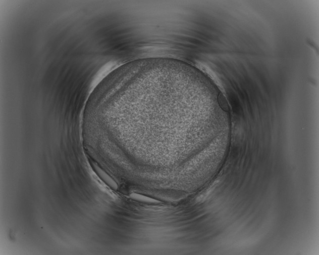 X0000091721386200709210952