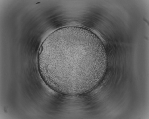 X0000091721387200709210952