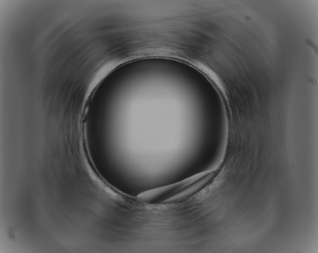 X0000091721389200709210952