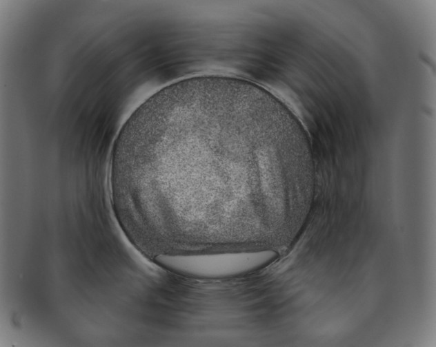 X0000091721391200709210952