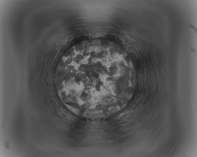 X0000091721393200709210952