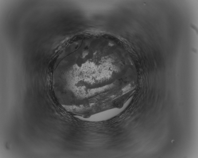 X0000091721397200709210952