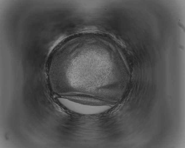 X0000091721400200709210952