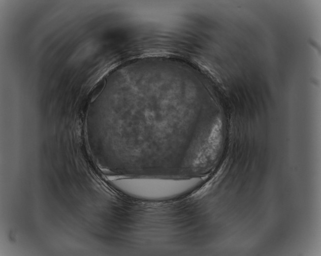 X0000091721401200709210952