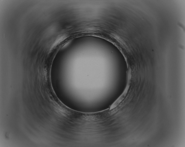 X0000091721402200709210952