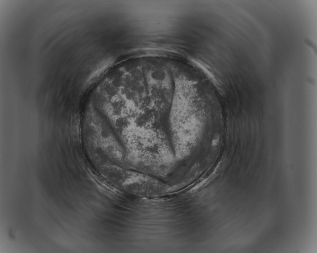 X0000091721403200709210952