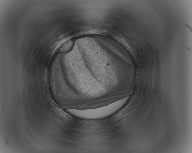 X0000091721404200709210952