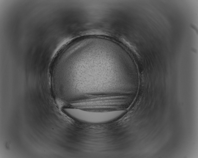 X0000091721408200709210952