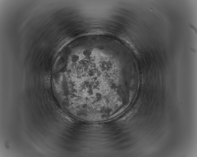 X0000091721409200709210952