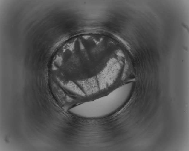 X0000091721411200709210952