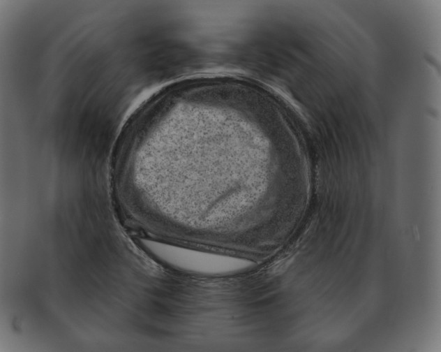 X0000091721412200709210952