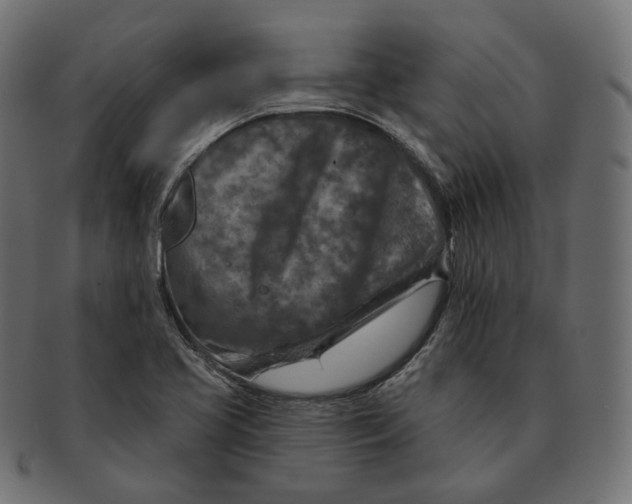 X0000091721413200709210952