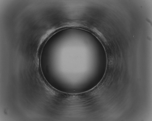 X0000091721414200709210952