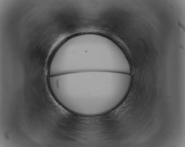 X0000091721416200709210952