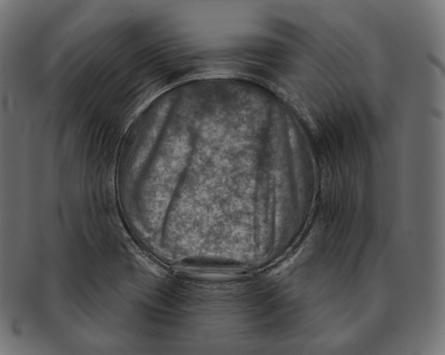 X0000091721417200709210952