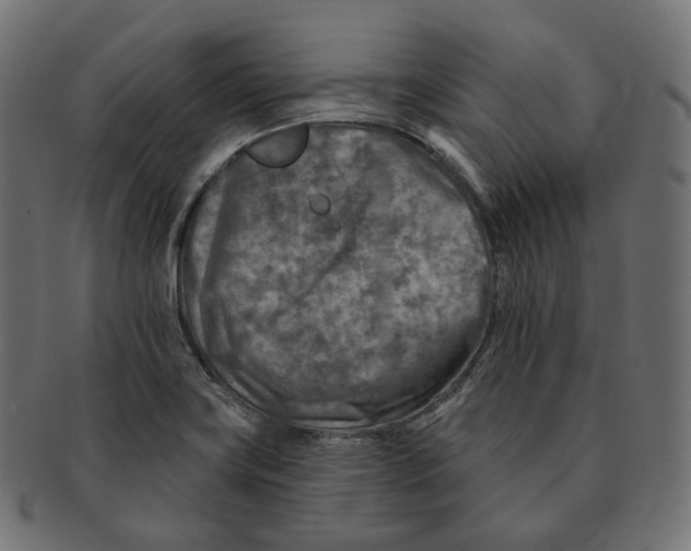 X0000091721419200709210952