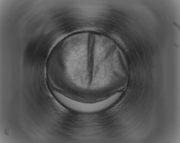 X0000091721420200709210952