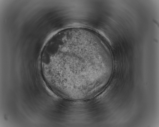 X0000091721421200709210952