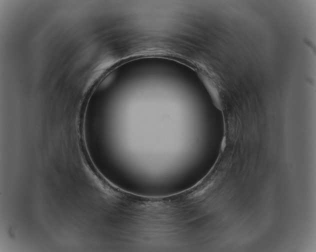 X0000091721422200709210952