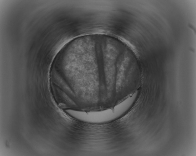 X0000091721423200709210952