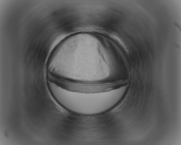 X0000091721424200709210952