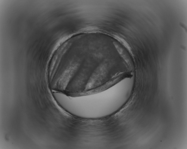 X0000091721429200709210952