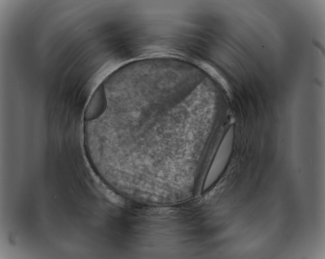 X0000091721431200709210952