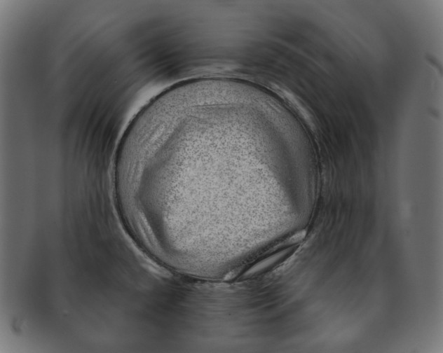 X0000091721432200709210952