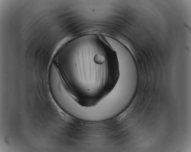 X0000091721434200709210952