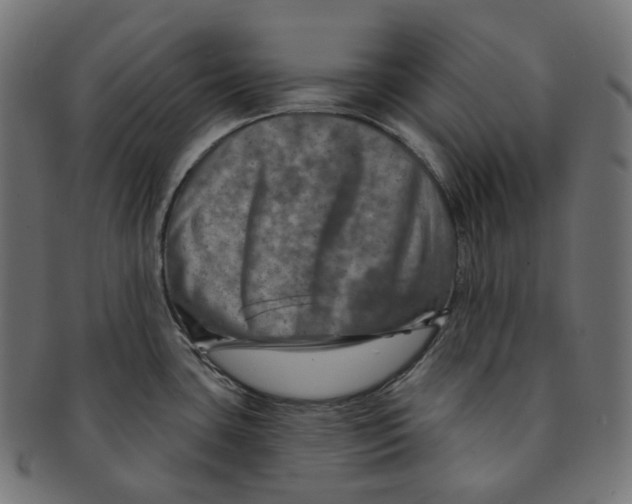 X0000091721435200709210952