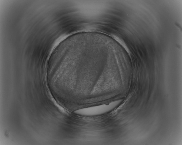 X0000091721437200709210952