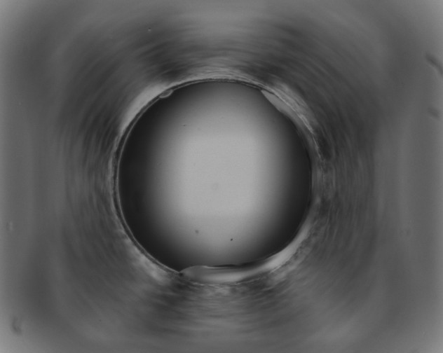 X0000091721438200709210952