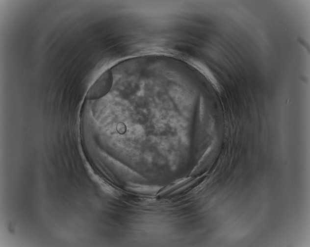 X0000091721439200709210952