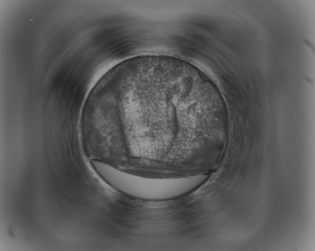 X0000091721440200709210952