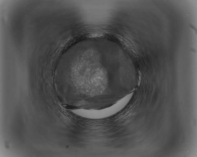 X0000091721441200709210952