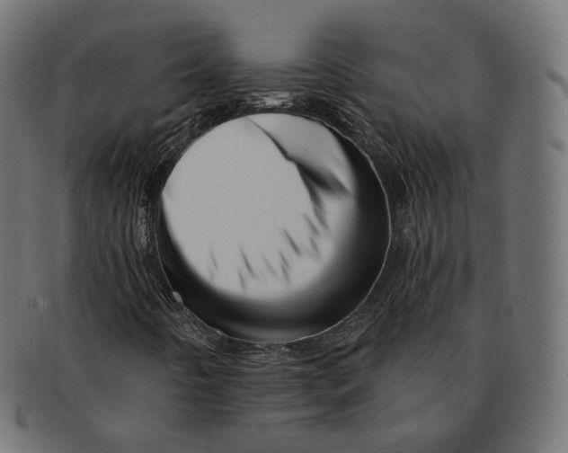 X0000091721442200709210951