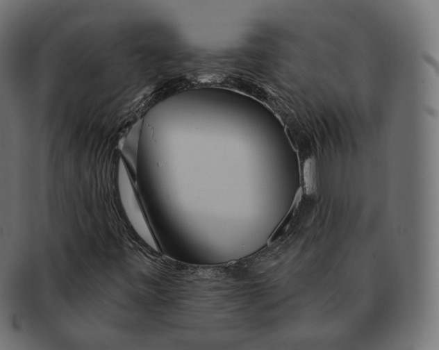 X0000091721443200709210951