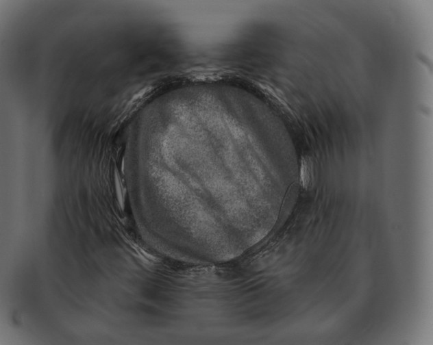 X0000091721444200709210951