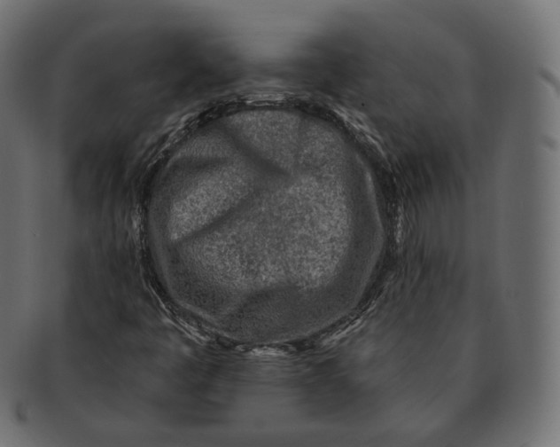 X0000091721445200709210951