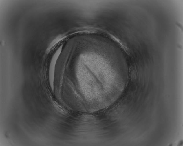 X0000091721448200709210951