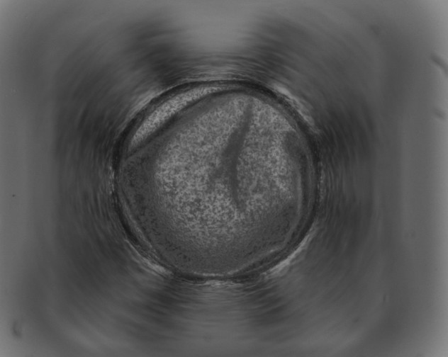 X0000091721449200709210951