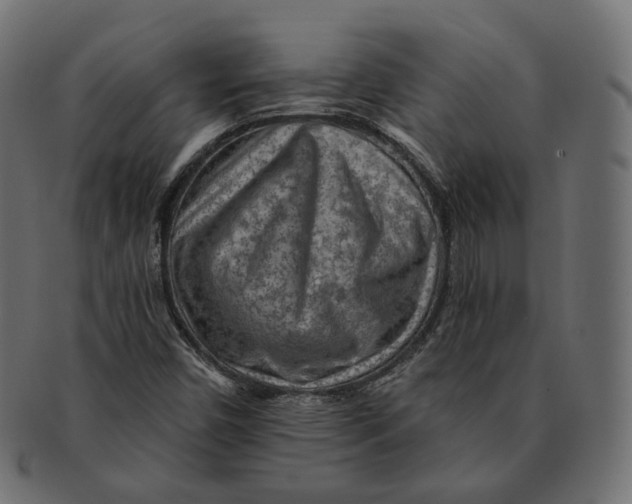 X0000091721450200709210951