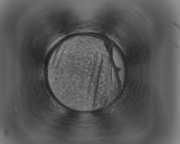 X0000091721452200709210951