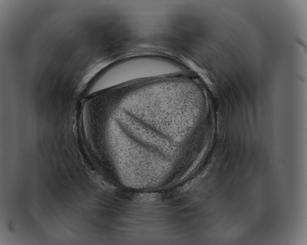 X0000091721453200709210951