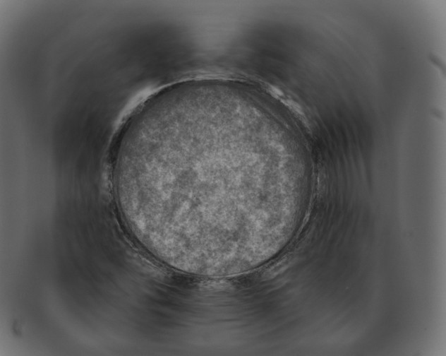 X0000091721454200709210951