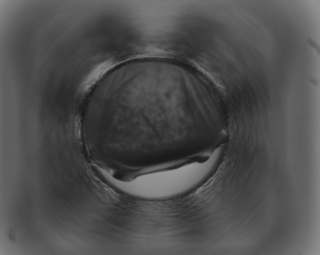 X0000091721455200709210951