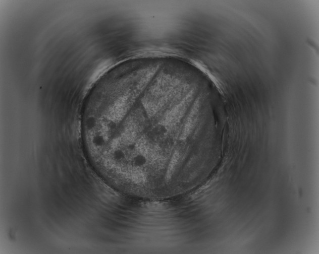 X0000091721459200709210951