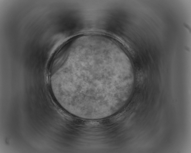 X0000091721462200709210951