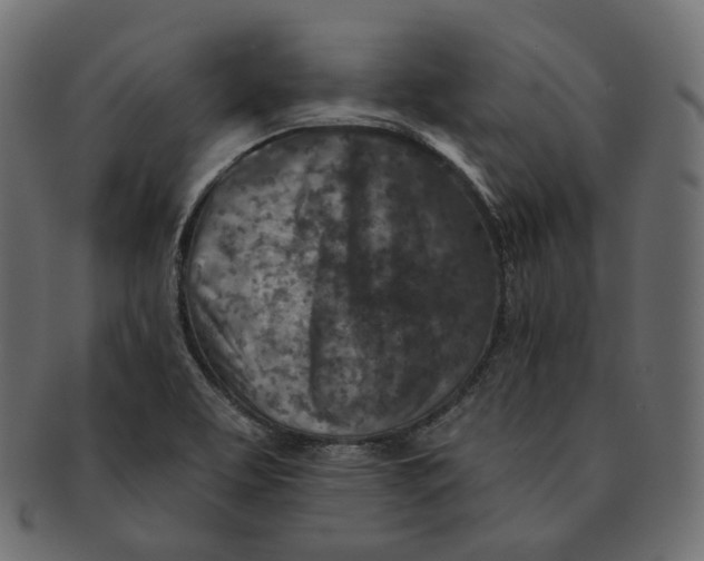 X0000091721463200709210951